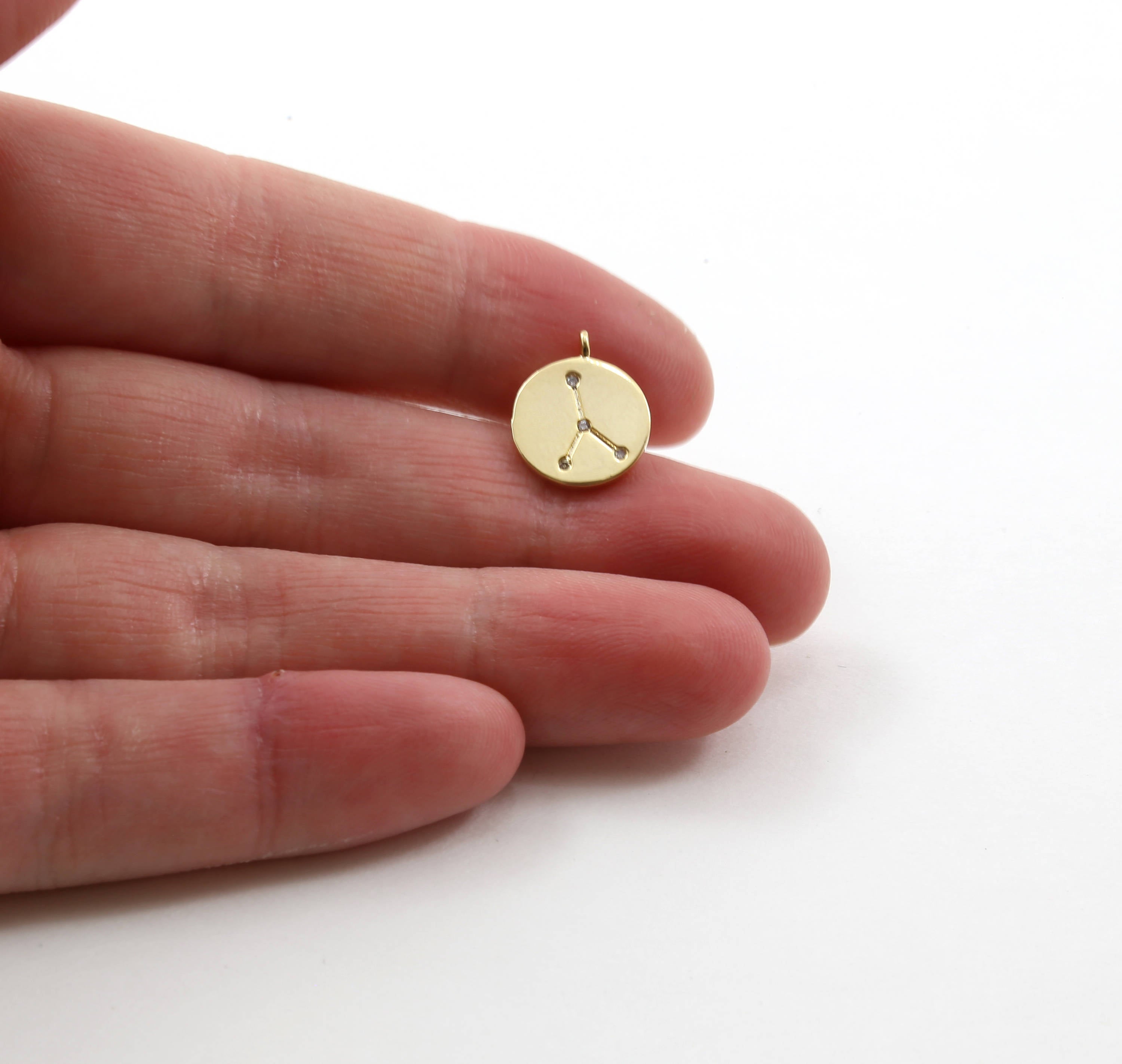 Rhodium Plated CZ Constellation Round Coin Charms Gold Silver Rose