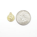 Vermeil Double Sided Liberty Coin with Detailed Shield Back