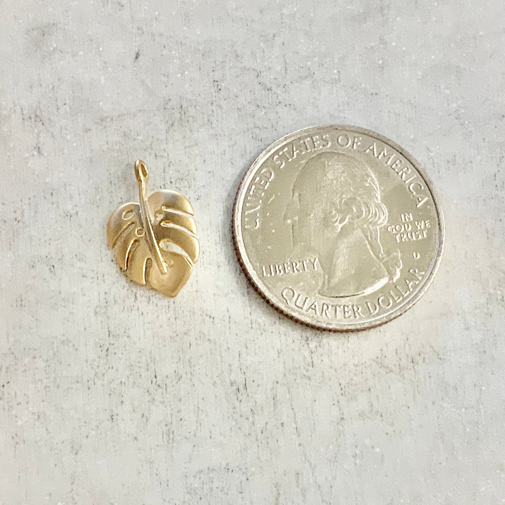 16mmx10mm Gold Plated or Brass Tiny Tropical Monstera Leaf Plant Charm