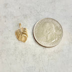 16mmx10mm Gold Plated or Brass Tiny Tropical Monstera Leaf Plant Charm