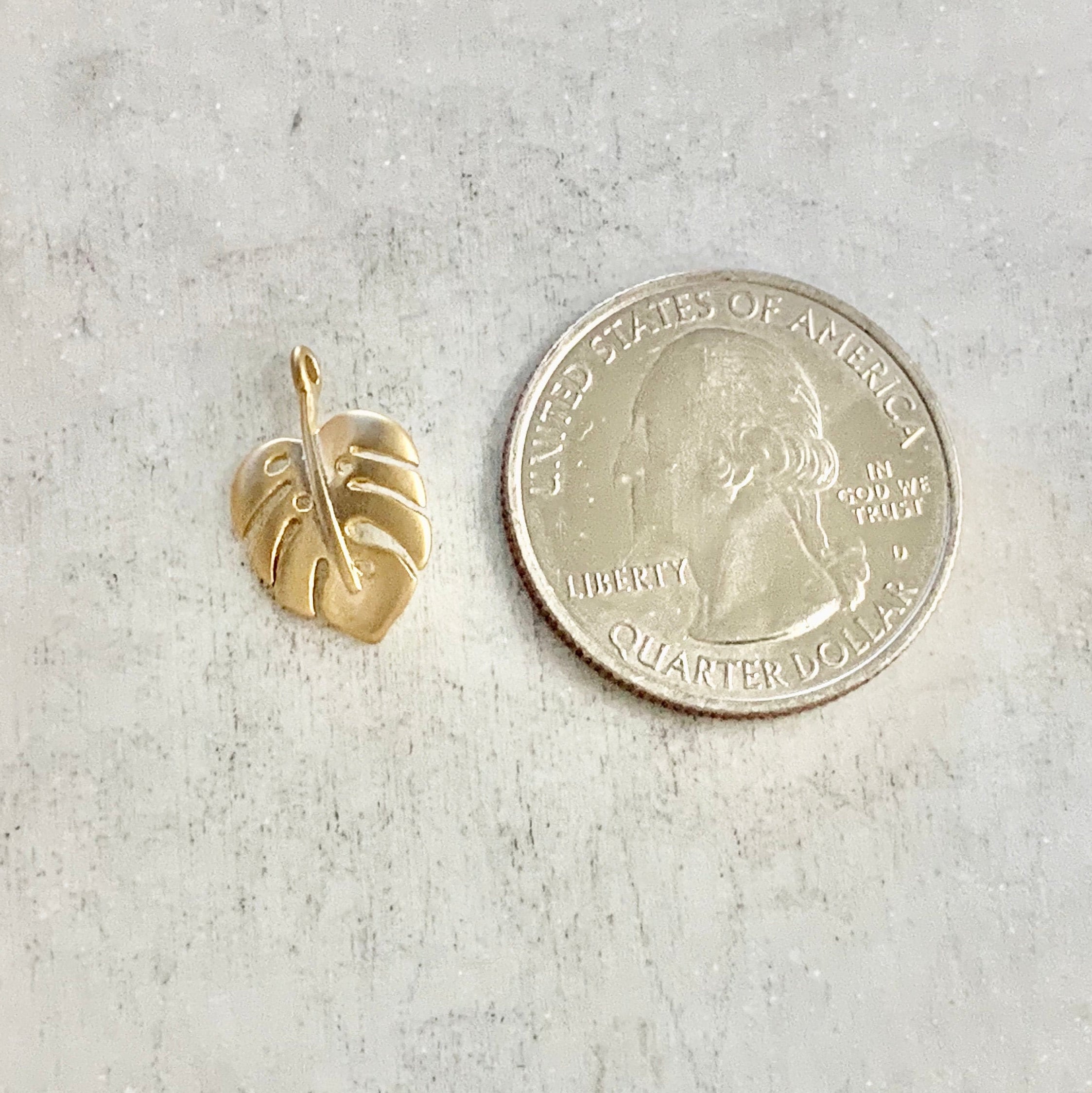 16mmx10mm Gold Plated or Brass Tiny Tropical Monstera Leaf Plant Charm