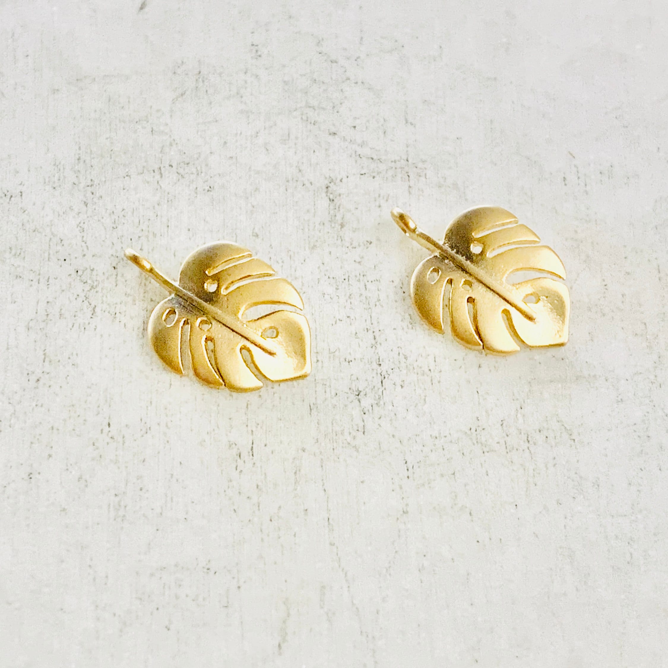 16mmx10mm Gold Plated or Brass Tiny Tropical Monstera Leaf Plant Charm