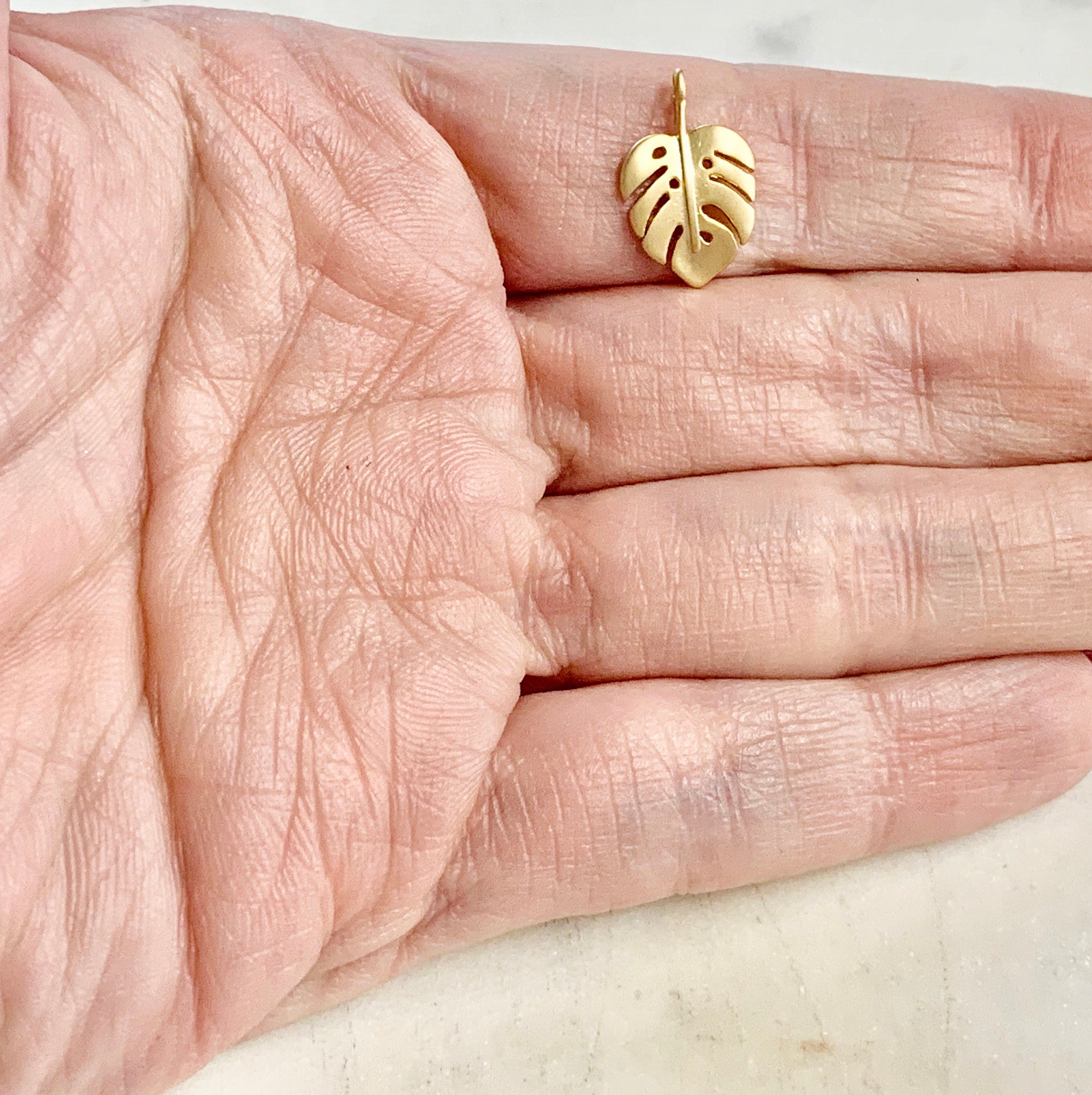 16mmx10mm Gold Plated or Brass Tiny Tropical Monstera Leaf Plant Charm
