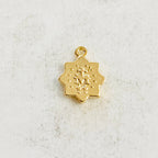 Gold Plated Small Epoxy Mother Mary Star Medallion Charm