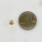Gold Plated 6mm Flower Bead Cap (100pc) – Gold