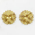 Raw Brass Filigree Raised Round (2pc)