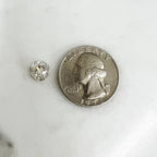 10mm Base Metal Circle Shrag Swarovski Crystal Button with Silver Back (10pc)