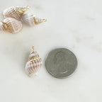 Gold Plated Natural Shell Ocean Nautical Charm Pendant